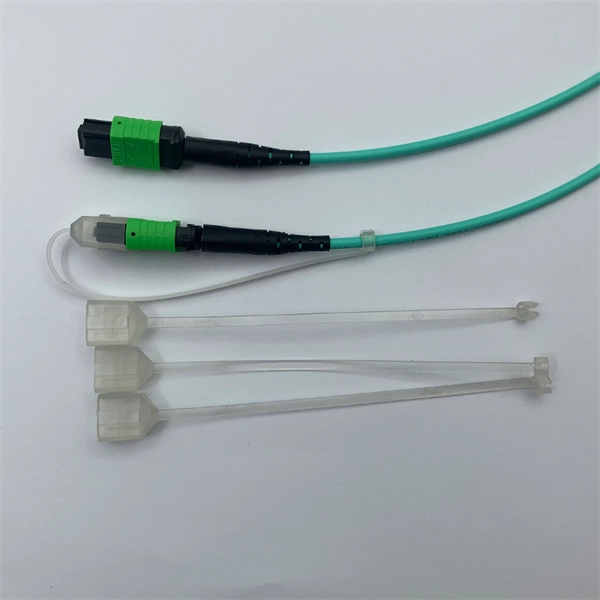 Fiber Optic Direct Connection Router