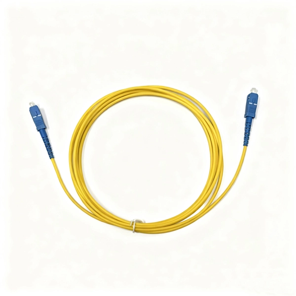 A switch can only use one optical port 