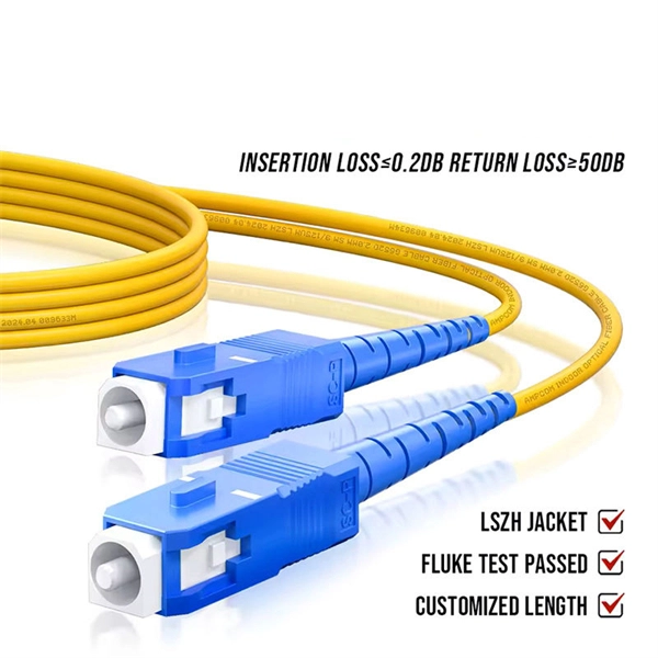 Dual-optical switch PoE